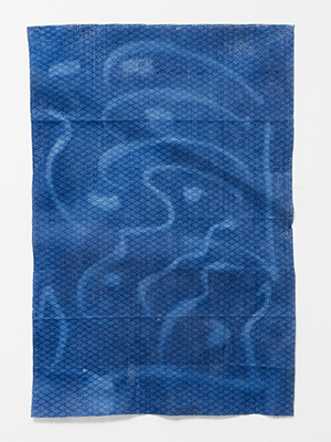 cyanotype jay cloths